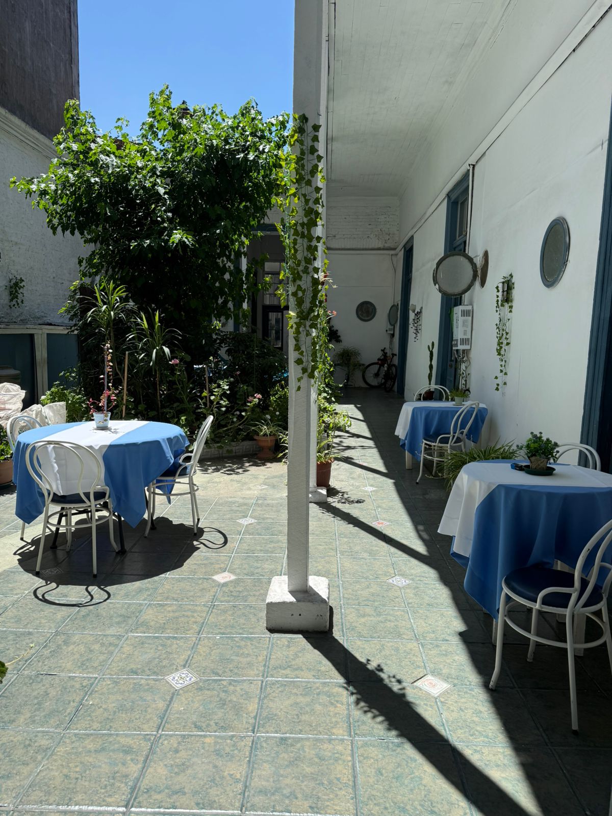 motion_photo_1118599638765618640