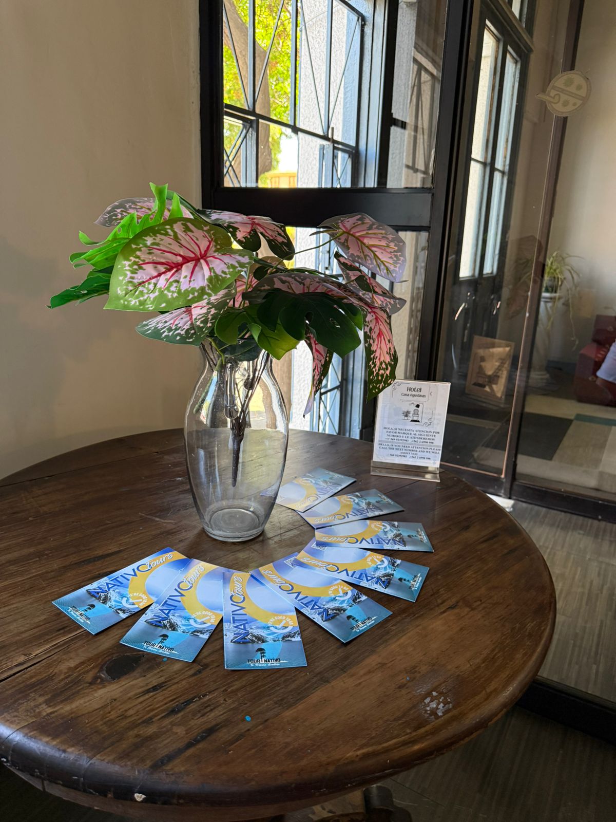 motion_photo_2266543122375787404